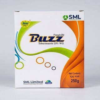 SML BUZZ