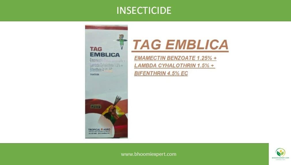 TAG EMBLICA