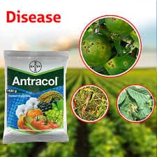 ANTRACOL