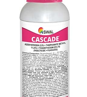 CASCADE