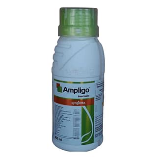 AMPLIGO