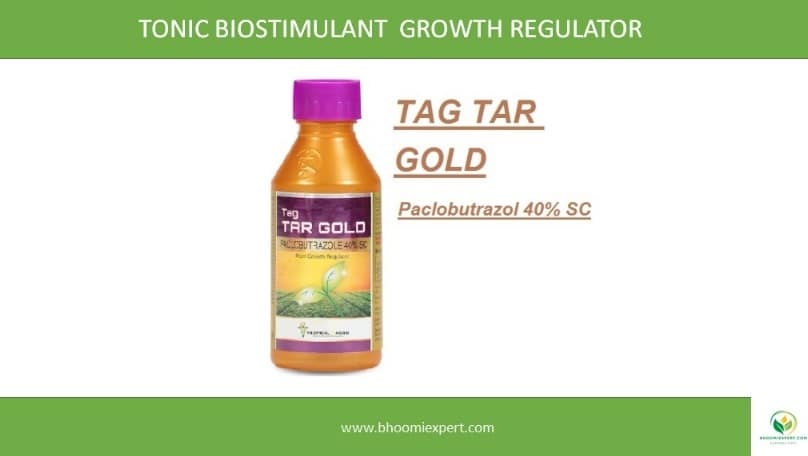 TAG TAR GOLD