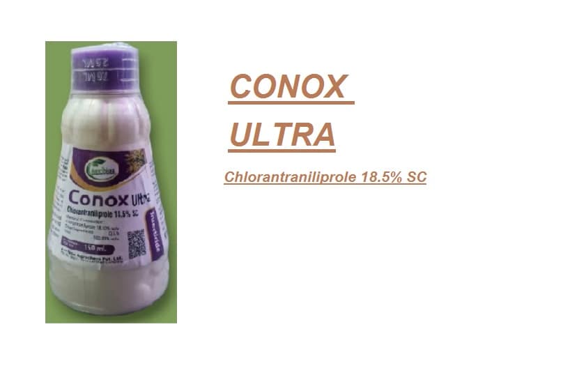CONAX ALTRA - Image 2