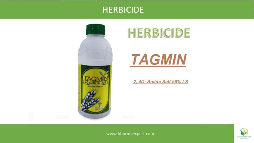 TAGAMIN 2 4 D AMINE SALT 58% SL