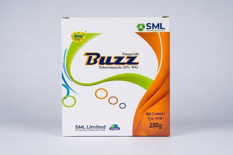 SML BUZZ
